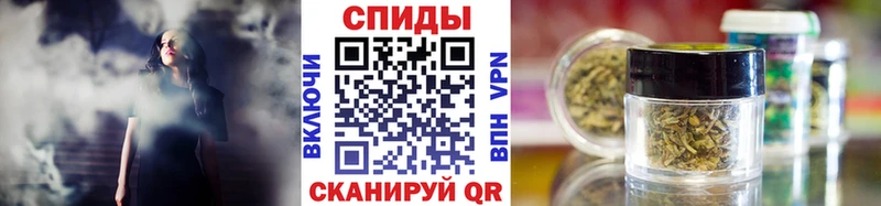 Купить закладки  Бирюч  Бутират буратино 