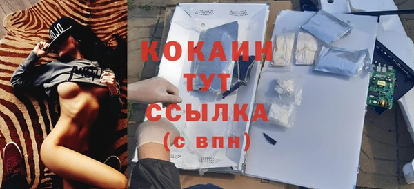 стафф Корсаков