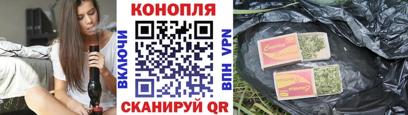 Канабис сатива  Купить где  Бирюч 